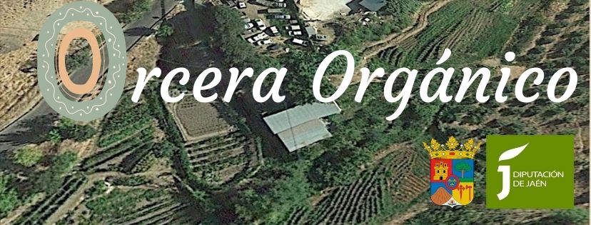 banner orcera organico